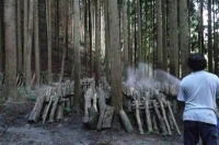 水やり