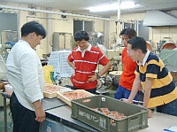 トマトゼリーを作った仲間です
