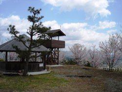 目崎城跡