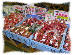 夢広場での販売